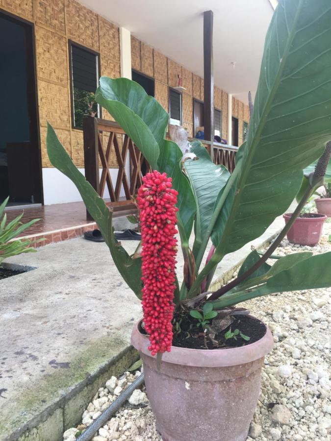 Panglao Rainbow Inn Tagbilaran City Exterior foto